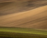 DSC03641