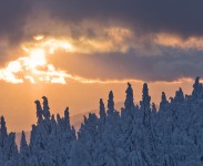 IMG_0632