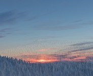 IMG_0780
