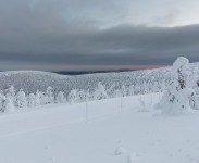 IMG_0789