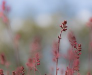 IMG_3710