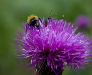 IMG_5999