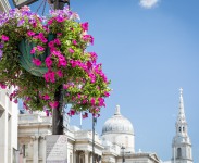 IMG_8286