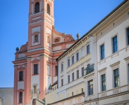 IMG_5451
