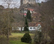 IMG_6390