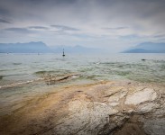 IMG_2202