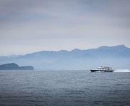 IMG_2248