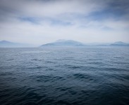 IMG_2251