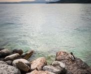 IMG_2288
